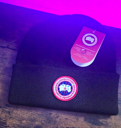 Canada goose wool - canada, one