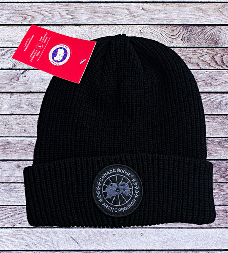 Canada goose arctic - goose, program