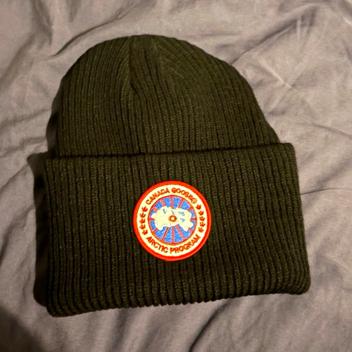 Canada goose arctic program - canada,