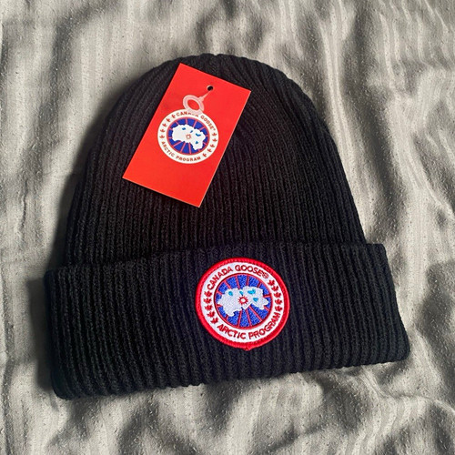 Canada goose arctic program - goose,