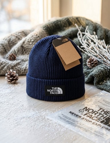 The north face beanie - the,